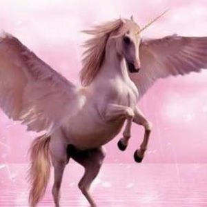 Meet your Posher, Lena